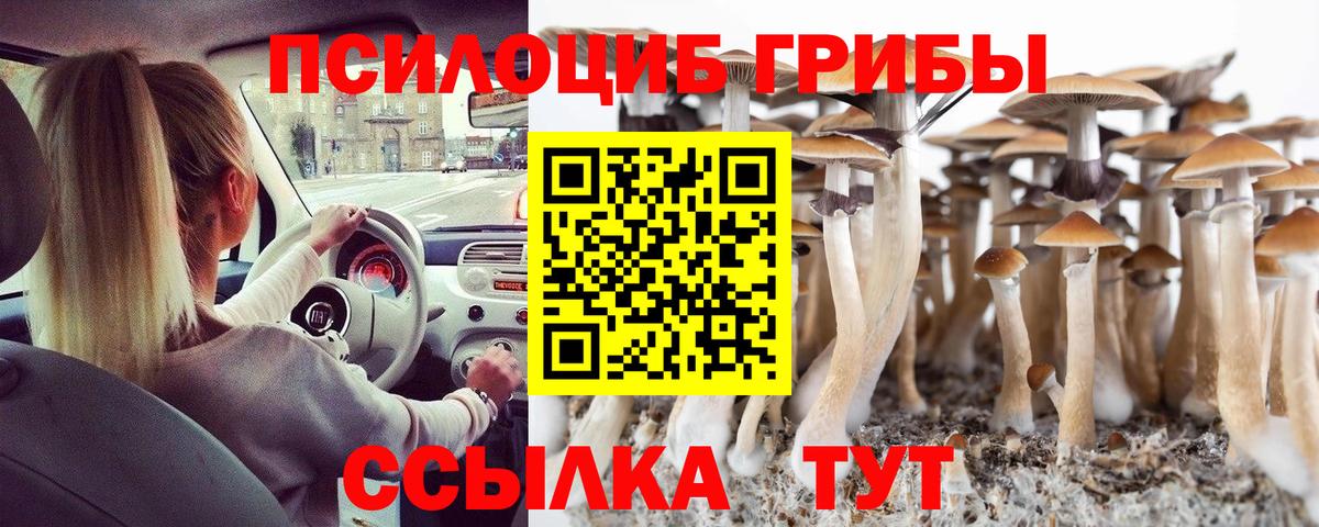 Псилоцибиновые грибы Cubensis  Псилоцибиновые грибы MAGIC MUSHROOMS  Димитровград 