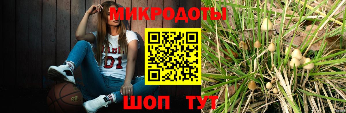 хочу наркоту  Псилоцибиновые грибы прущие грибы  Вход с VPN  Димитровград 