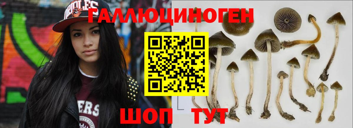 Псилоцибиновые грибы мухоморы Димитровград