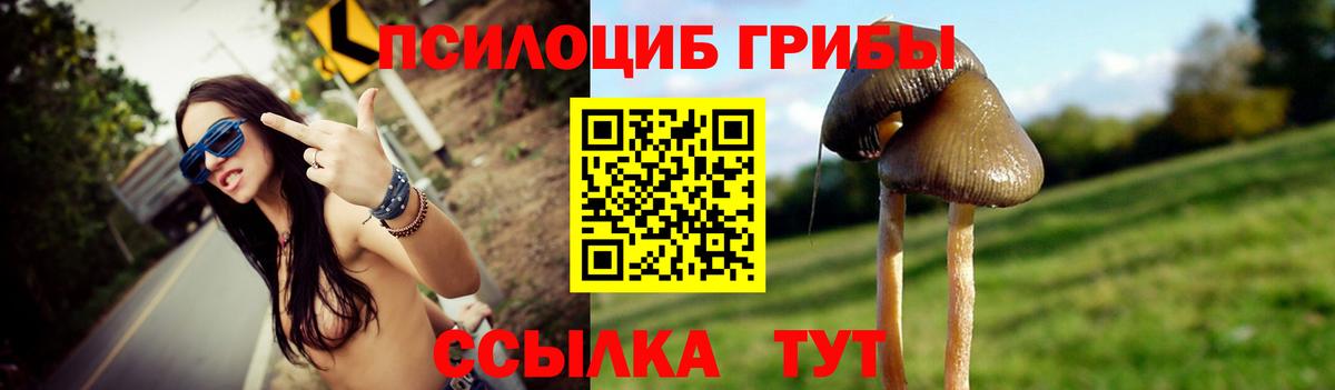A PVP Димитровград